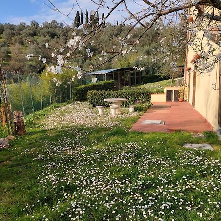 Dependance Nel Chianti A Pochi Minuti Da Firenze Impruneta Exterior foto