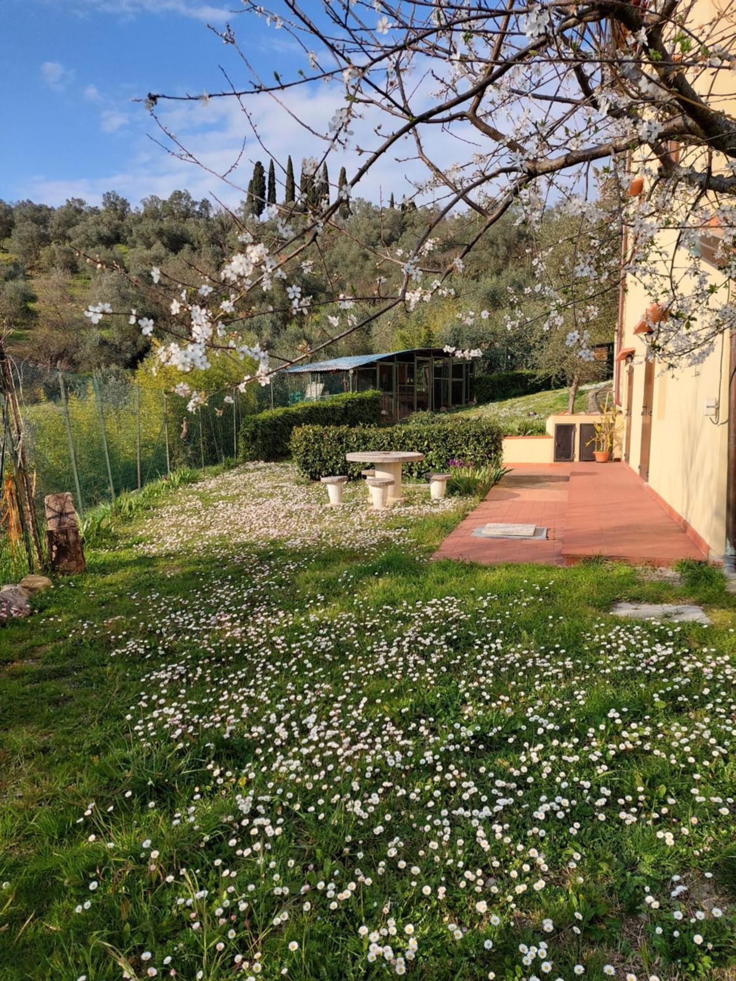 Dependance Nel Chianti A Pochi Minuti Da Firenze Impruneta Exterior foto